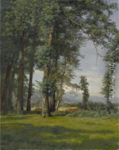 Sommerlandschaft (eichwaldlichtung) Oil Painting - Robert Zund