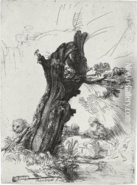 St. Jerome Beside A Pollard Willow (b., Holl. 103; H. 232; Bb. 48-b) Oil Painting - Rembrandt Van Rijn