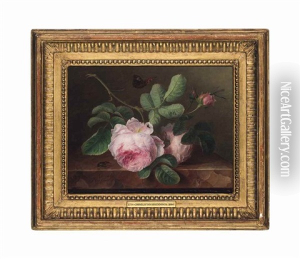Roses On A Marble Ledge With A Beetle, A Butterfly And A Dragonfly Oil Painting - Cornelis van Spaendonck