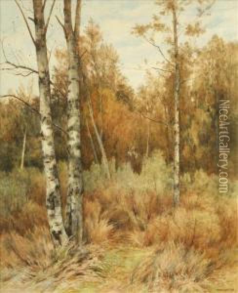 Silver Birches Oil Painting - Thomas J. Watson