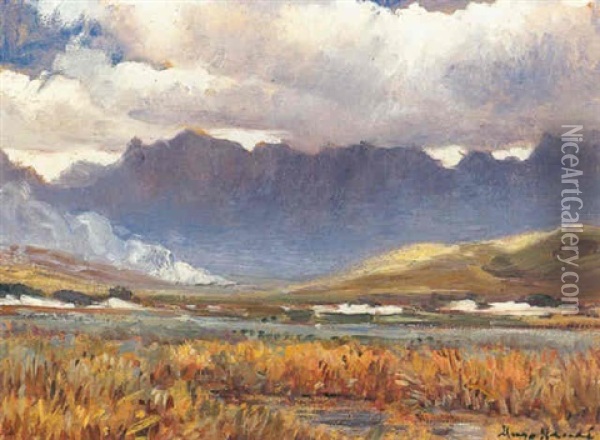 Landscape Near Worcester Oil Painting - Pieter Hugo Naude