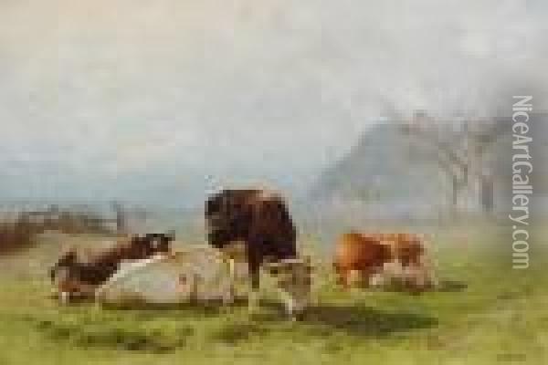 Cows In A Sunny Meadow Oil Painting - Anton Mauve