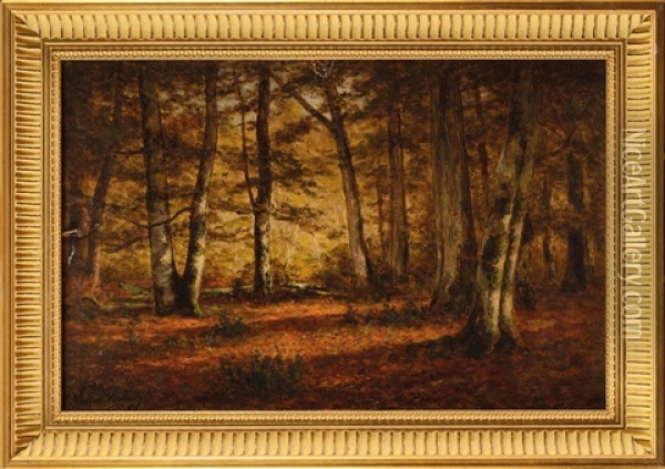 Clairiere En Foret De Fontainebleau Oil Painting - Adrien Schulz