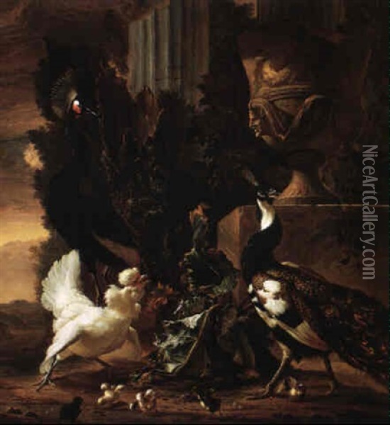 Peacocks And Other Fowl In A Garden With A Stone Urn On A Pedestal Oil Painting - Abraham Bisschop