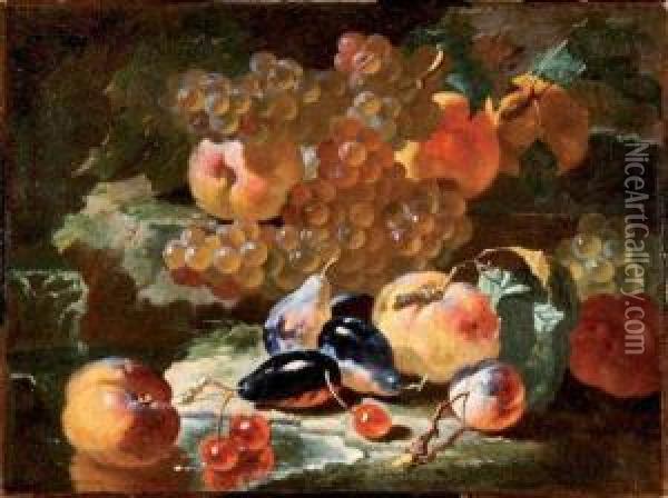 Nature Morte Aux Peches, Prunes, Questsches, Cerises Etraisins Oil Painting - Giovanni Paolo Castelli Spadino