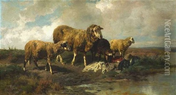 Am Ufer Eines Weihers Beschnuppern Vier Schafe Kleidungsstucke, Die Ein Hirte Dort Abgelegt Hat Oil Painting - Anton Braith