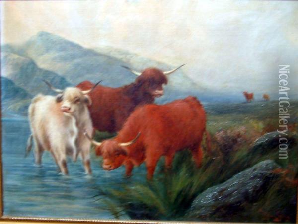 Highland Cattle Watering Oil Painting - Wylon Gowdy