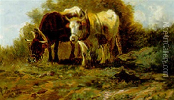 Oxen Plowing A Field Oil Painting - Anton Braith