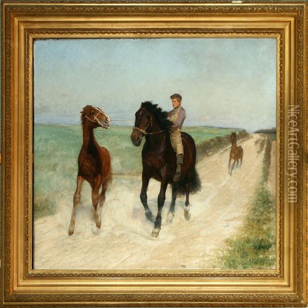 A Young Lad Catches The Wild Horse Oil Painting - Robert Mols