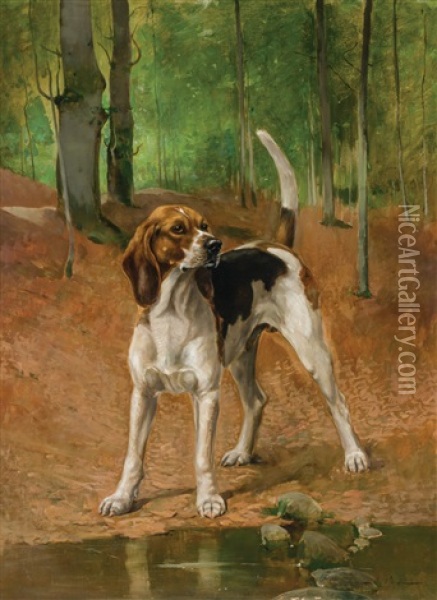 Portrait Of A Beagle Oil Painting - Alexander Pope
