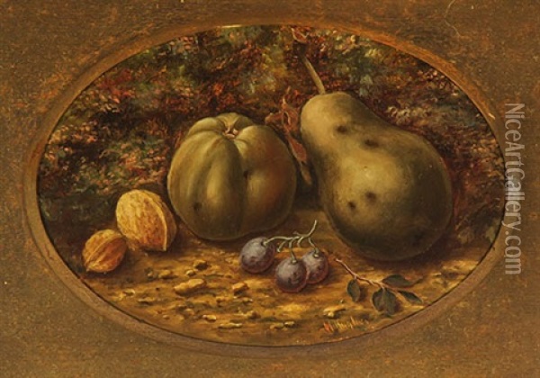 Still Life: A Pair Of Works Oil Painting - William Hughes