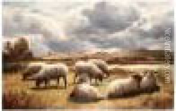 Sheep Grazing Oil Painting - Robert Watson