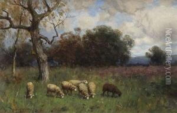 Weidende Schafe Auf Einer
 Wiese Oil Painting - August Karl Martin Splitgerber