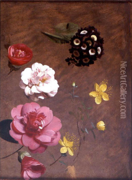 A Study Of Primulas, Camellias And Prunus Oil Painting - Antoine Chazal