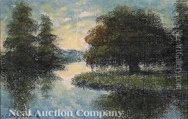 Late Afternoon In A Louisiana Marsh Oil Painting - Alexander John Drysdale