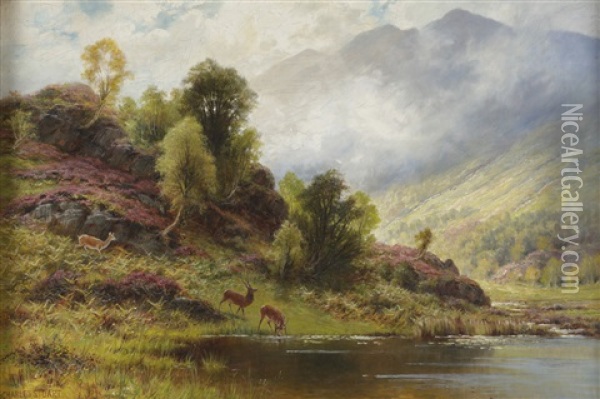 Skotsk Landskap Oil Painting - Charles Stuart