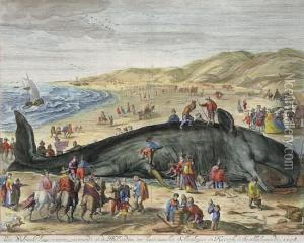 Gestrandeter Walfisch Zwischen Scheveningen Und Katwijk Oil Painting - Willem Gillem Van Der Gouwen /
