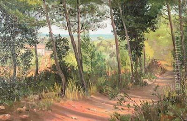 Camino En El Bosque. Oil Painting - Antoni De Ferrater