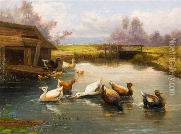 Petits Canards Dans L'eau Oil Painting - Jef Louis Van Leemputten