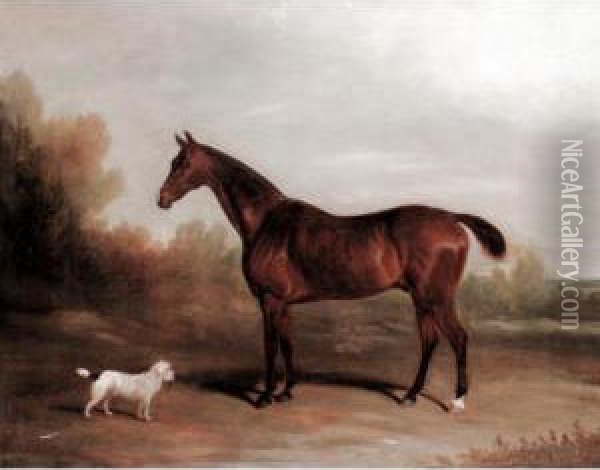 A Chestnut Hunter With A Terrier Oil Painting - David of York Dalby