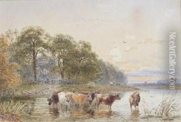 Cattle Watering In Ariver Oil Painting - John MacPherson