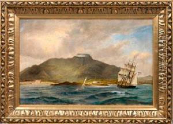 Segelschiffe Vor Einer Insel In Danisch-westindien Oil Painting - Andreas Christian Riis Carstensen
