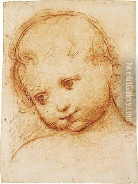 Study Of The Head Of A Child Oil Painting - Boccaccio Boccaccino