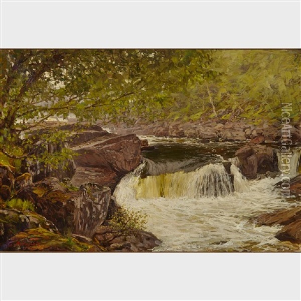River Rapids In Summer Oil Painting - Serguei Ivanovitch Lobanoff