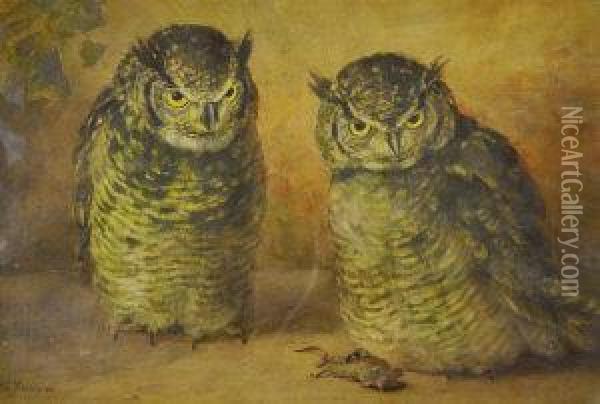 Owls With A Mouse Oil Painting - Frances C. Fairman