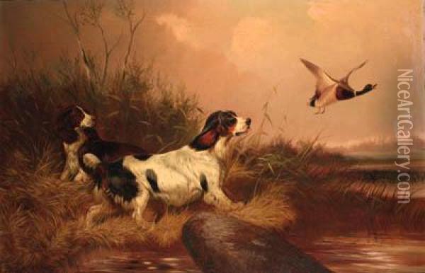 Spaniels Flushing Out A Mallard Oil Painting - Colin Graeme Roe
