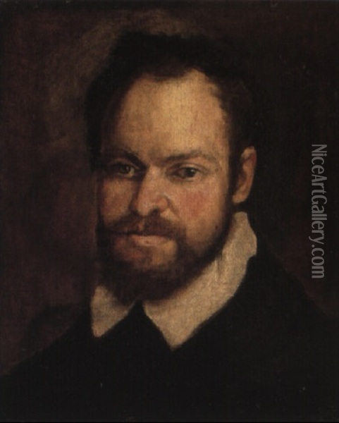 Portrait Of A Bearded Man Oil Painting - Annibale Carracci