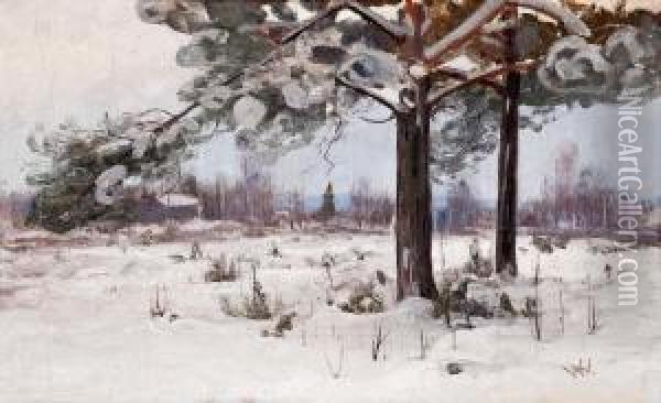 Snow Covered Pine Trees Oil Painting - Victor Westerholm