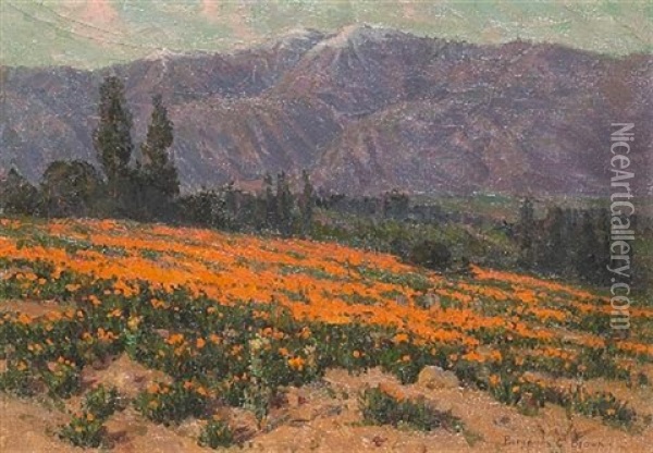 Golden Poppy Field, Pasadena, California Oil Painting - Benjamin Chambers Brown