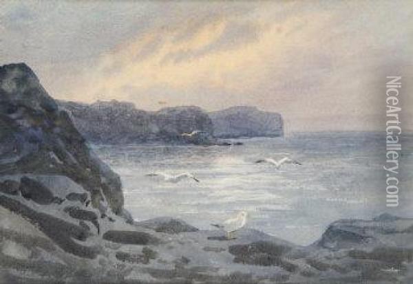 Horn Head, Donegal Oil Painting - William Percy French