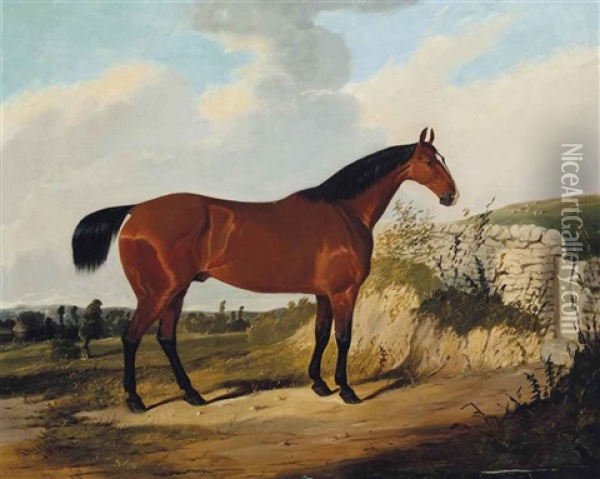 A Bay Hunter In A Landscape Oil Painting - Joseph (of Worcester) Dunn