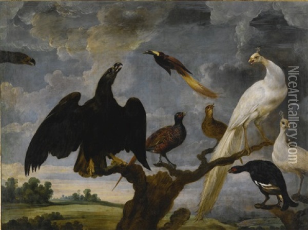 A Concert Of Birds Including An Eagle, A White Peacock And A Bird Of Paradise Oil Painting - Paul de Vos