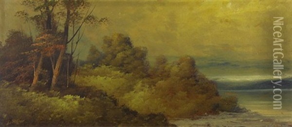 Trees By The Lake Oil Painting - Karl Heffner