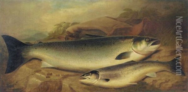 Salmon And Trout On A River Bank Oil Painting - John Bucknell Russell