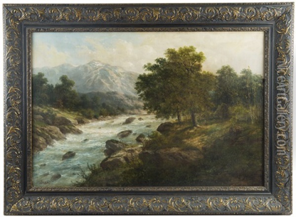 Black Forest Wilderness Oil Painting - Julius Karl Rose