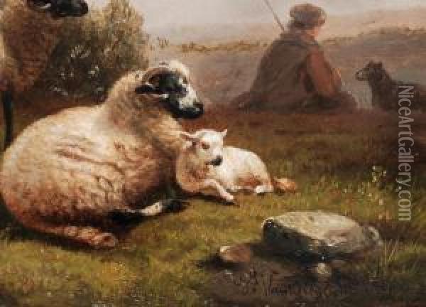 Zwei Schafe Mit Lammchen Neben Oil Painting - Joseph Van Dieghem