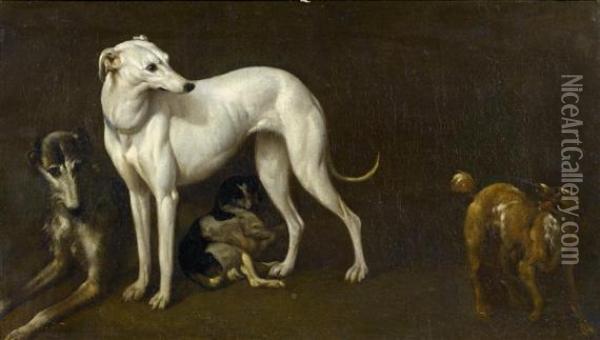 Greyhound. Oil Painting - Jan Le Duck Le Ducq