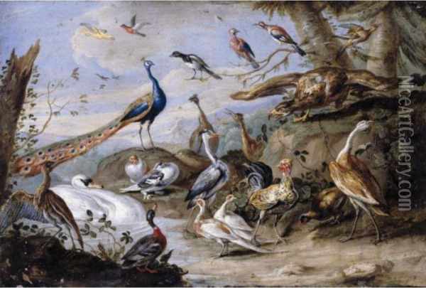 An Eagle, Peacocks, Doves, 
Herons, A Cockerel, A Hen, A Mallard, A Swan And Other Birds On A 
Riverbank Oil Painting - Jan van Kessel