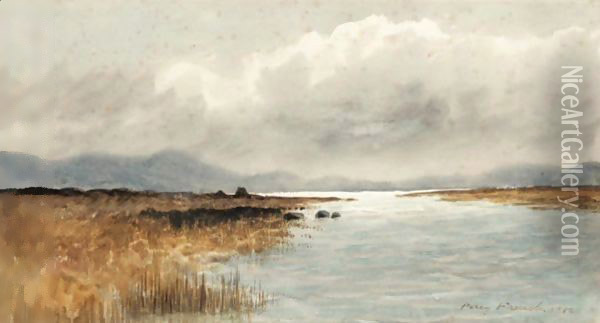 A Peat Bog, Ireland Oil Painting - William Percy French