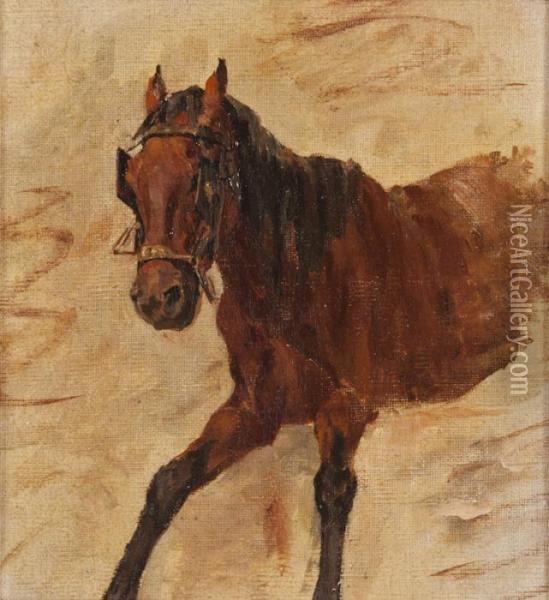 Cavallo Oil Painting - Alceste Campriani