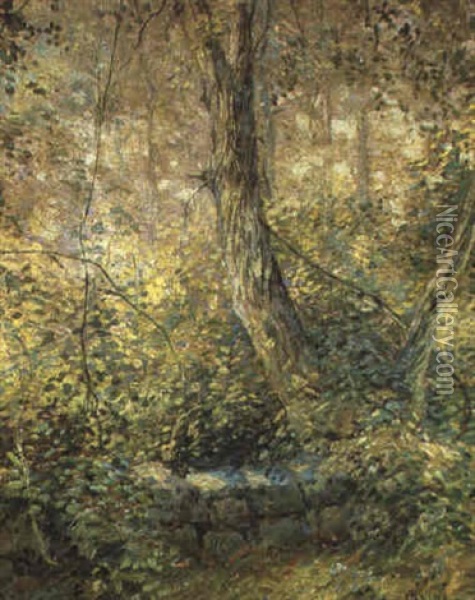Sunlight In The Forest Oil Painting - Wilson Henry Irvine