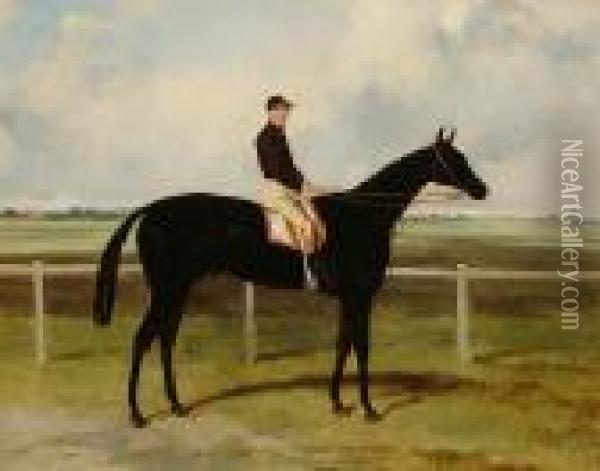 Portrait Of A Horse With Jockey Up Oil Painting - Harry Hall