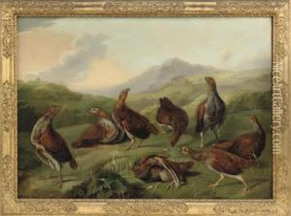 A Covey Of Partridges In A Landscape Oil Painting - Stephen Elmer