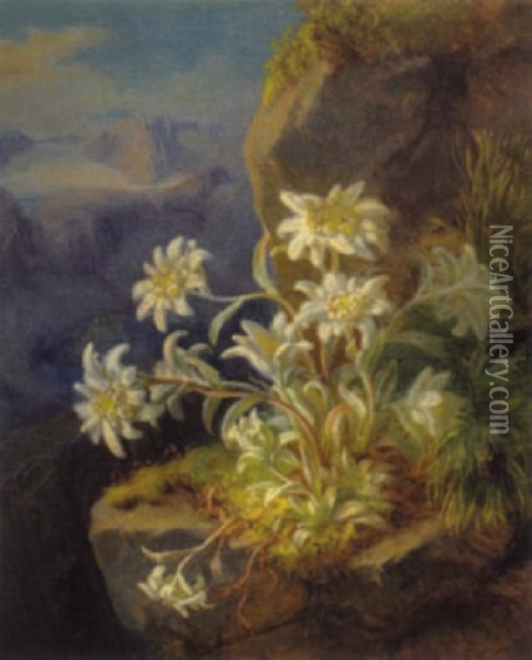 Edelweis Am Felsvorsprung, Im Hintergrund Blick Auf Den Dachstein Oil Painting - Andreas Lach