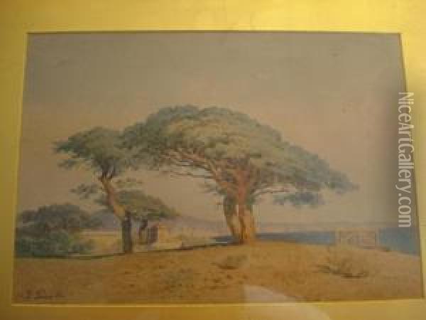 View Of Italian Bay Oil Painting - G Pinotti