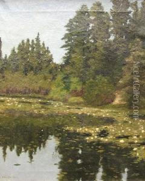 A Wooded Landscape With Waterlilies In A Pond In The Foreground Oil Painting - Ben Foster